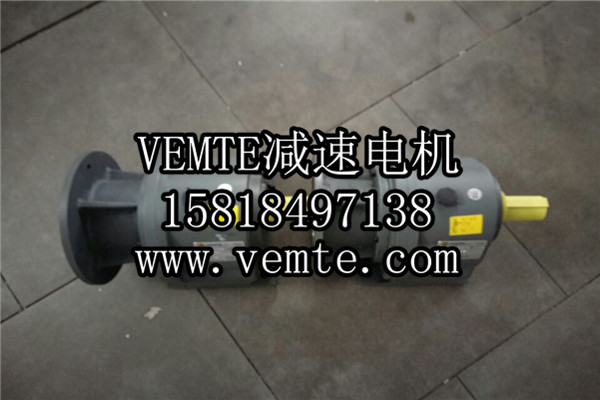 立式齒輪減速機，臥式齒輪減速機,齒輪減速電機,齒輪減速馬達 (1)