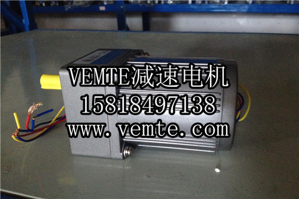 小電機，小型調速電機,微型減速電機 (2)