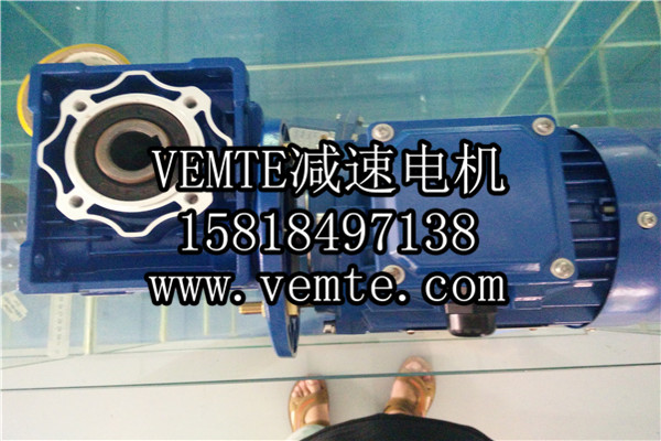 蝸輪減速機，渦輪減速機,RV減速電機 (2)